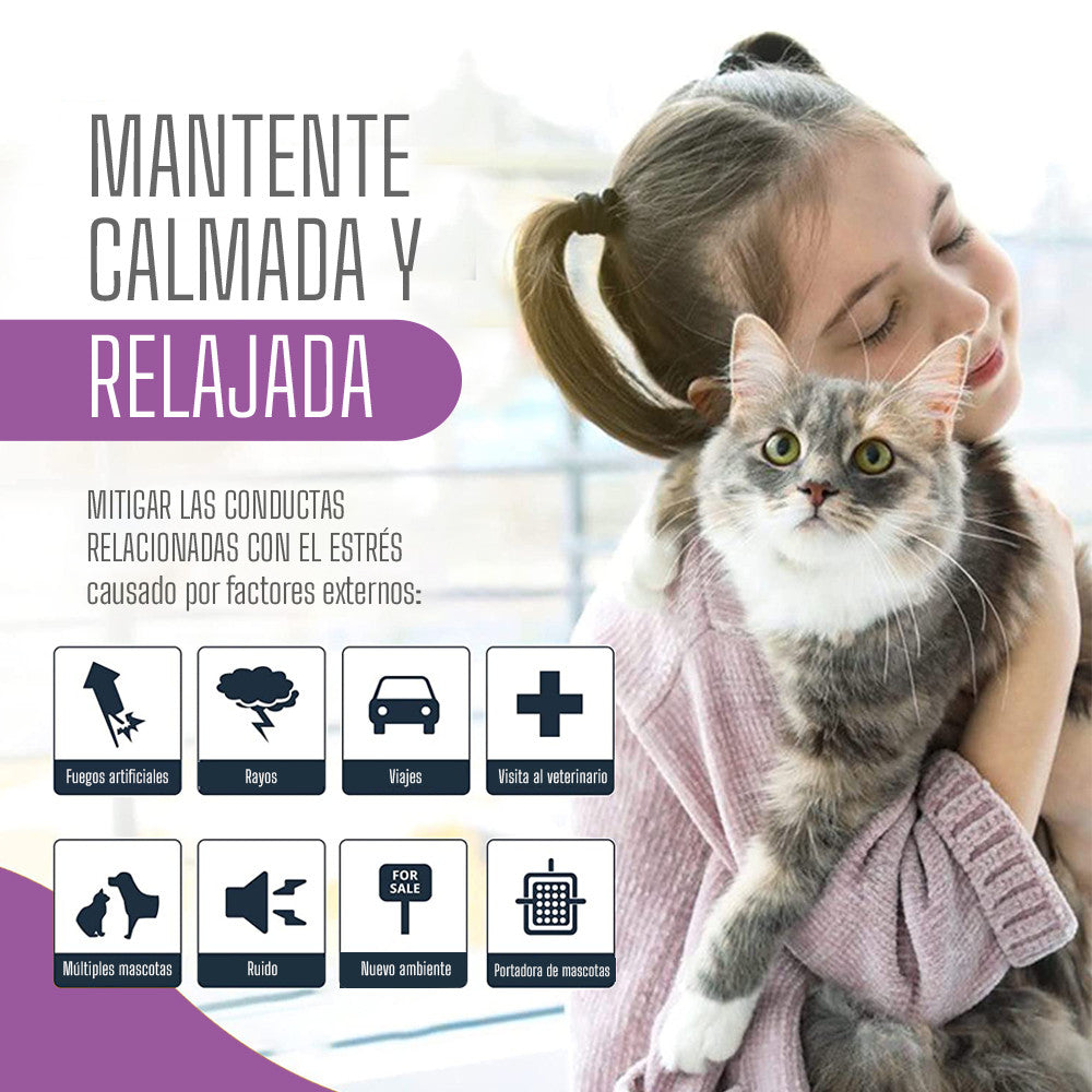 Collar Relajant Para Gatos Con Feromonas